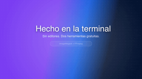 GIF animado generado desde el video demo del sitio con el método de paleta de FFmpeg